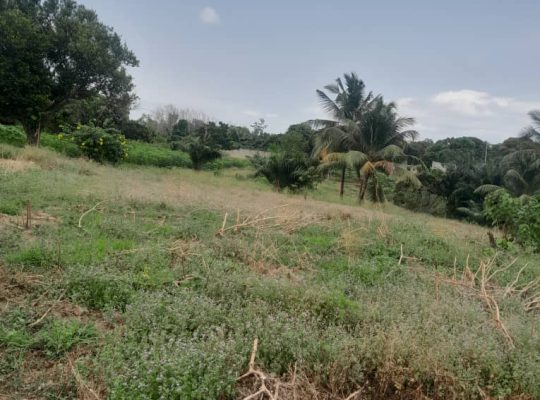 Terrain de 4700m2 à Okala Mikolongo