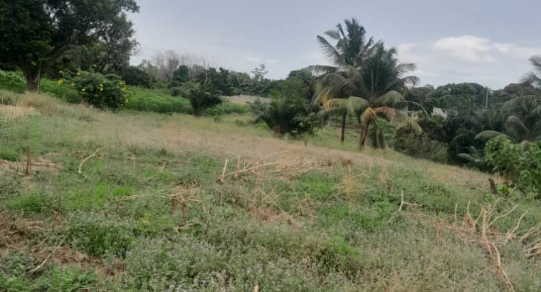 Terrain de 4700m2 à Okala Mikolongo
