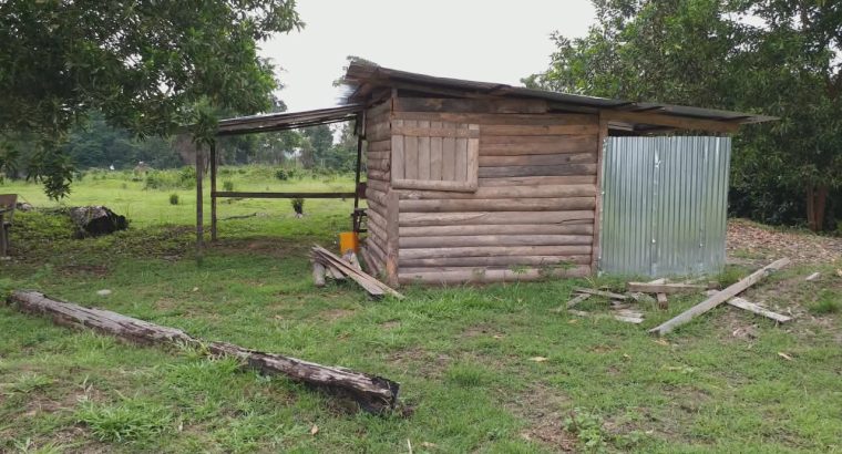 5000m2 à Angondje village