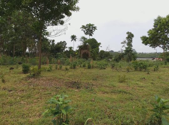5000m2 à Angondje village