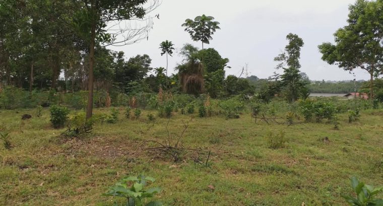 5000m2 à Angondje village