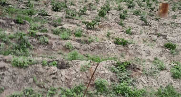 Terrain de 4700m2 à Okala Mikolongo