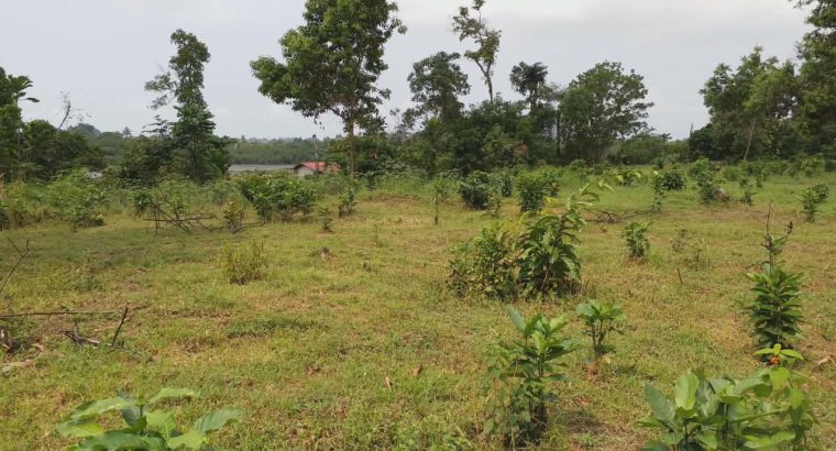 5000m2 à Angondje village