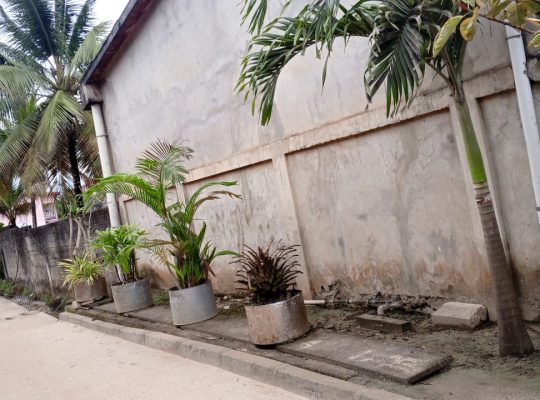 Villa 3 chambres et Studio à Alibandeng