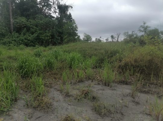 Terrain de 500m2 à Makwengue