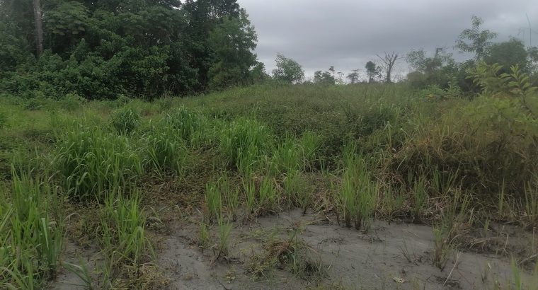 Terrain de 500m2 à Makwengue