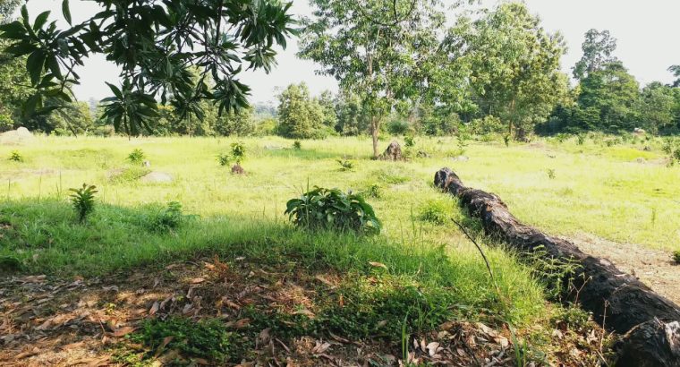 3 Hectares à Angondje