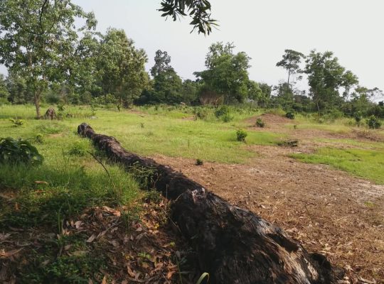 3 Hectares à Angondje