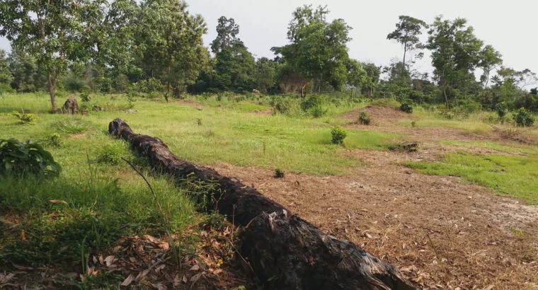 3 Hectares à Angondje