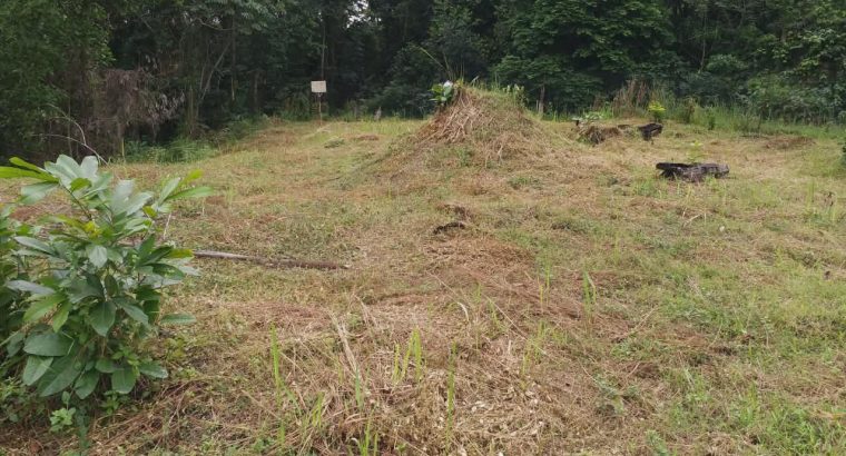 5000m2 à Angondje village