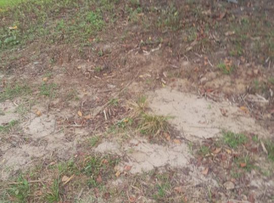 Terrain de 8000m2 avec Titre foncier Okala