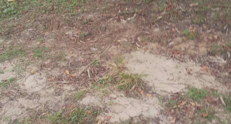 Terrain de 8000m2 avec Titre foncier Okala
