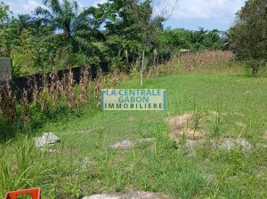 Terrain de 1000m2 clôturé