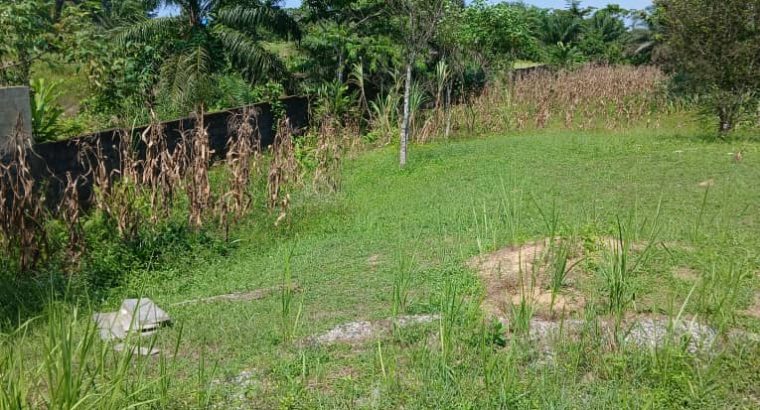Terrain de 1000m2 clôturé