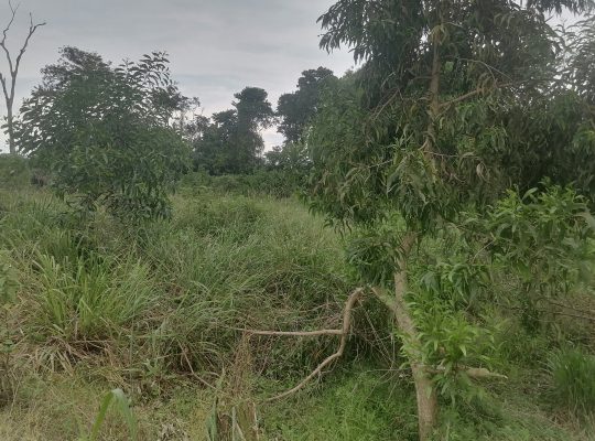 Terrain de 500m2 à Makwengue
