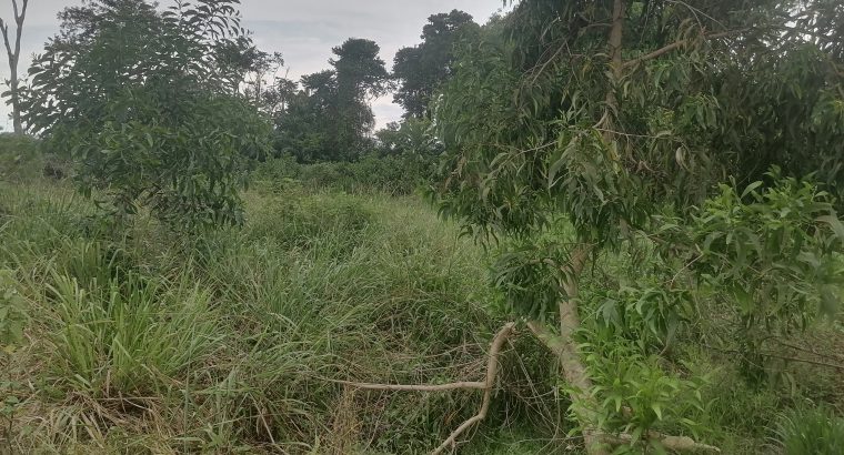 Terrain de 500m2 à Makwengue