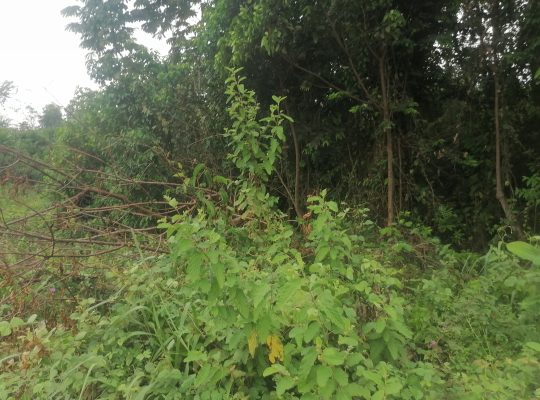 Terrain de 500m2 à Makwengue