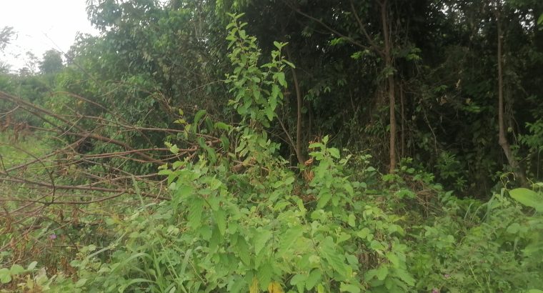 Terrain de 500m2 à Makwengue