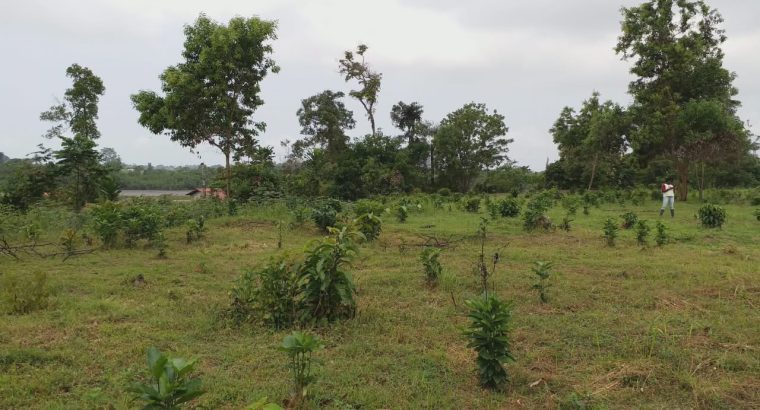 5000m2 à Angondje village