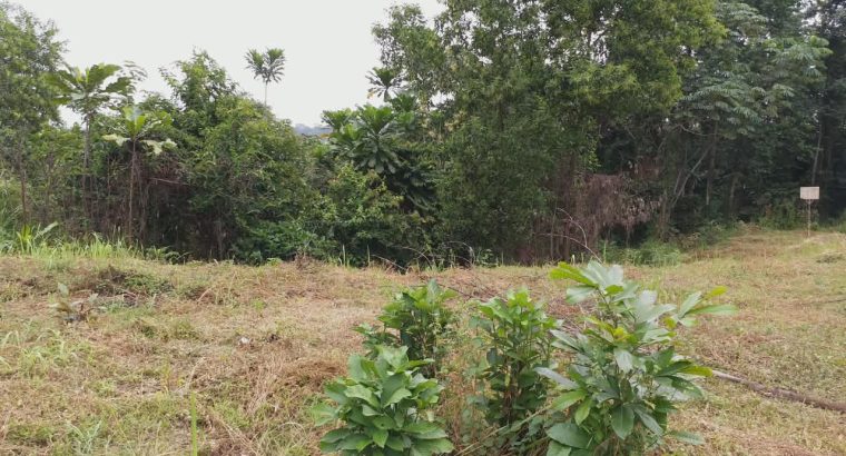 5000m2 à Angondje village